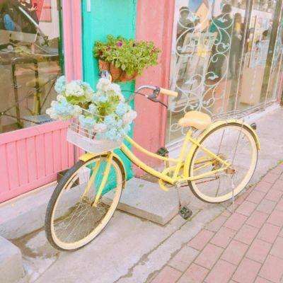 完美·体育截图